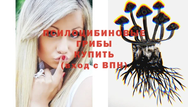 тгк Аркадак